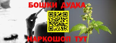 стафф Славгород