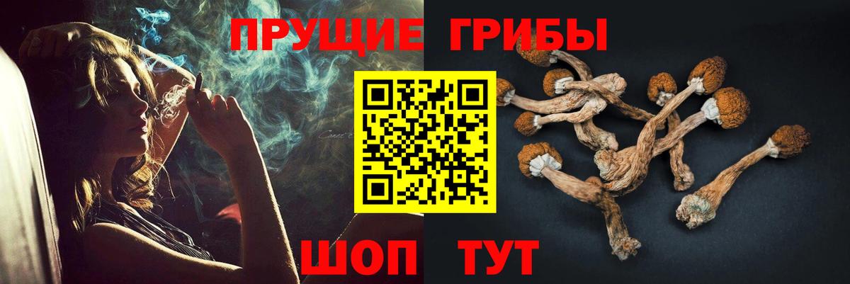 купить  цена  Вход с VPN  Ноябрьск  Псилоцибиновые грибы Cubensis 